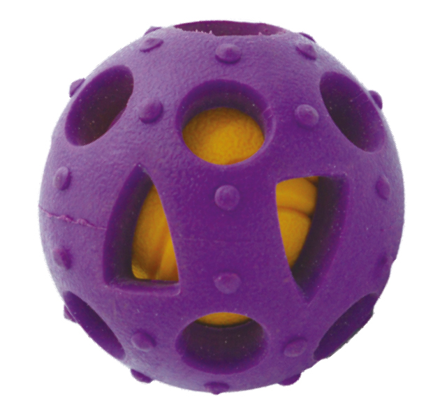 Wholesale dog toy pet training ball